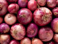 Onion(Sabola)